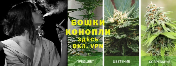 mdpv Лагань