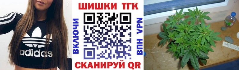 Каннабис план  Купить  Домодедово 